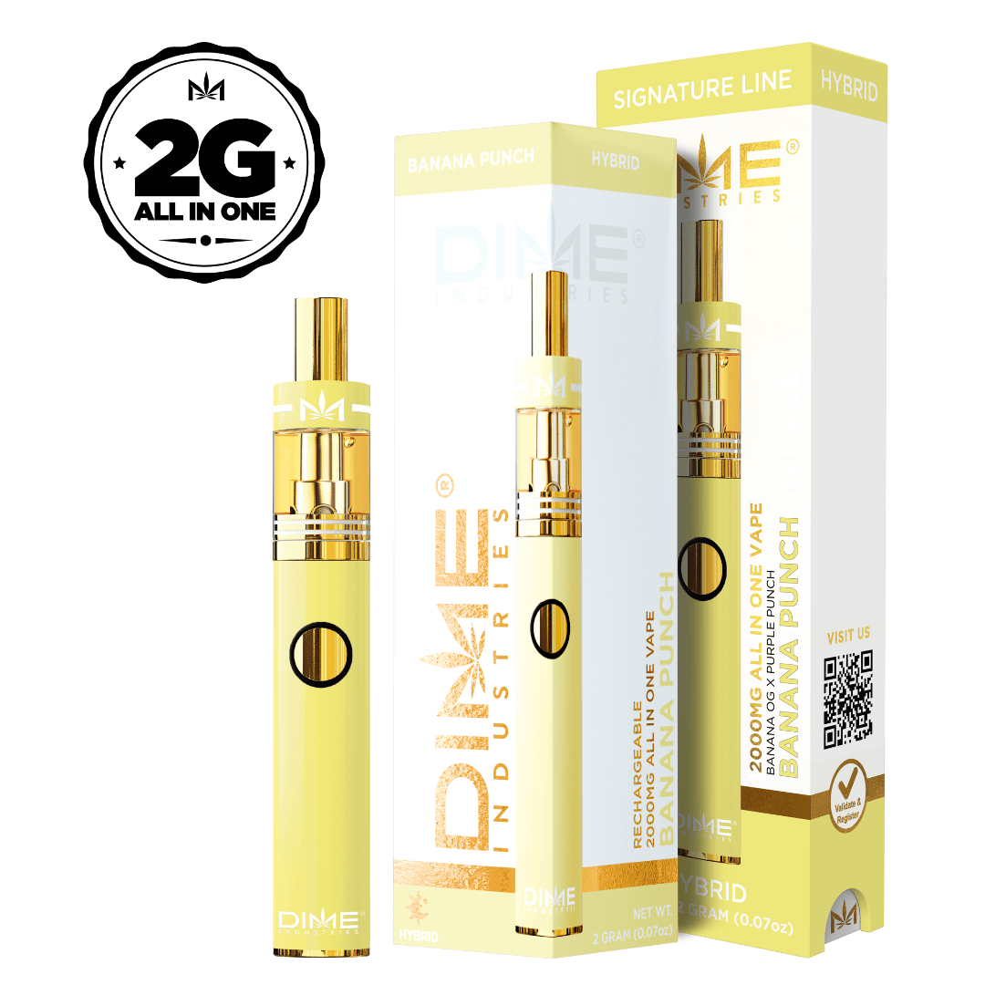 DIME BANANA PUNCH DISPOSABLE 2G