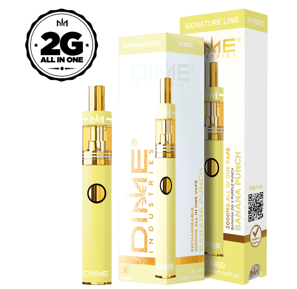 DIME BANANA PUNCH DISPOSABLE 2G