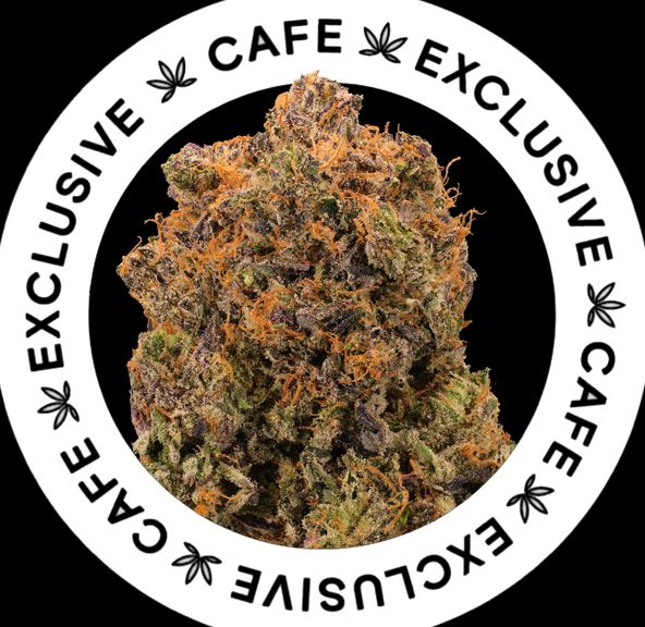 7G CAFE EXCLUSIVES- PINK SKYWALKER