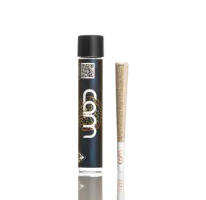 CAM - Platinum OG - 1g Preroll