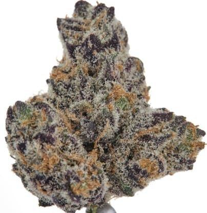Lumpys Purple Petro $35