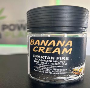 Banana Cream Flower (Bigs)