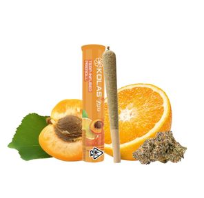 Terp Cone Citrus Bliss 1.00 g