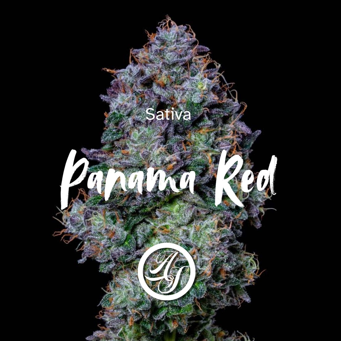 Alt Sol | Panama Red - Flower | 3.5g | Sativa