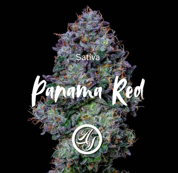 Alt Sol | Panama Red - Flower | 3.5g | Sativa