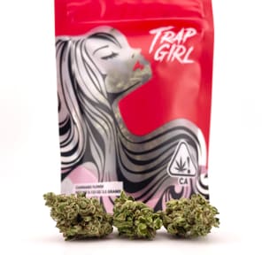 1/8 Gastro Pop (27.11%/Indica) - Trap Girl