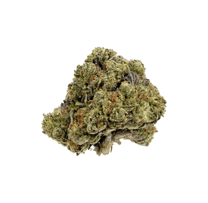 Apple Bomb (Premium)