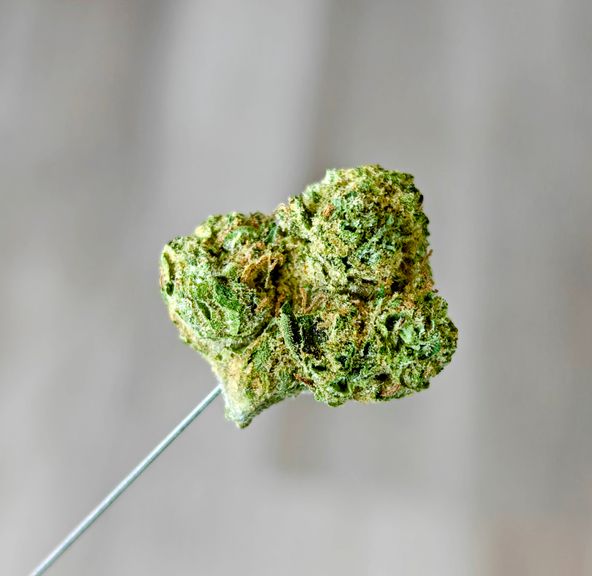 Black Cherry Gas