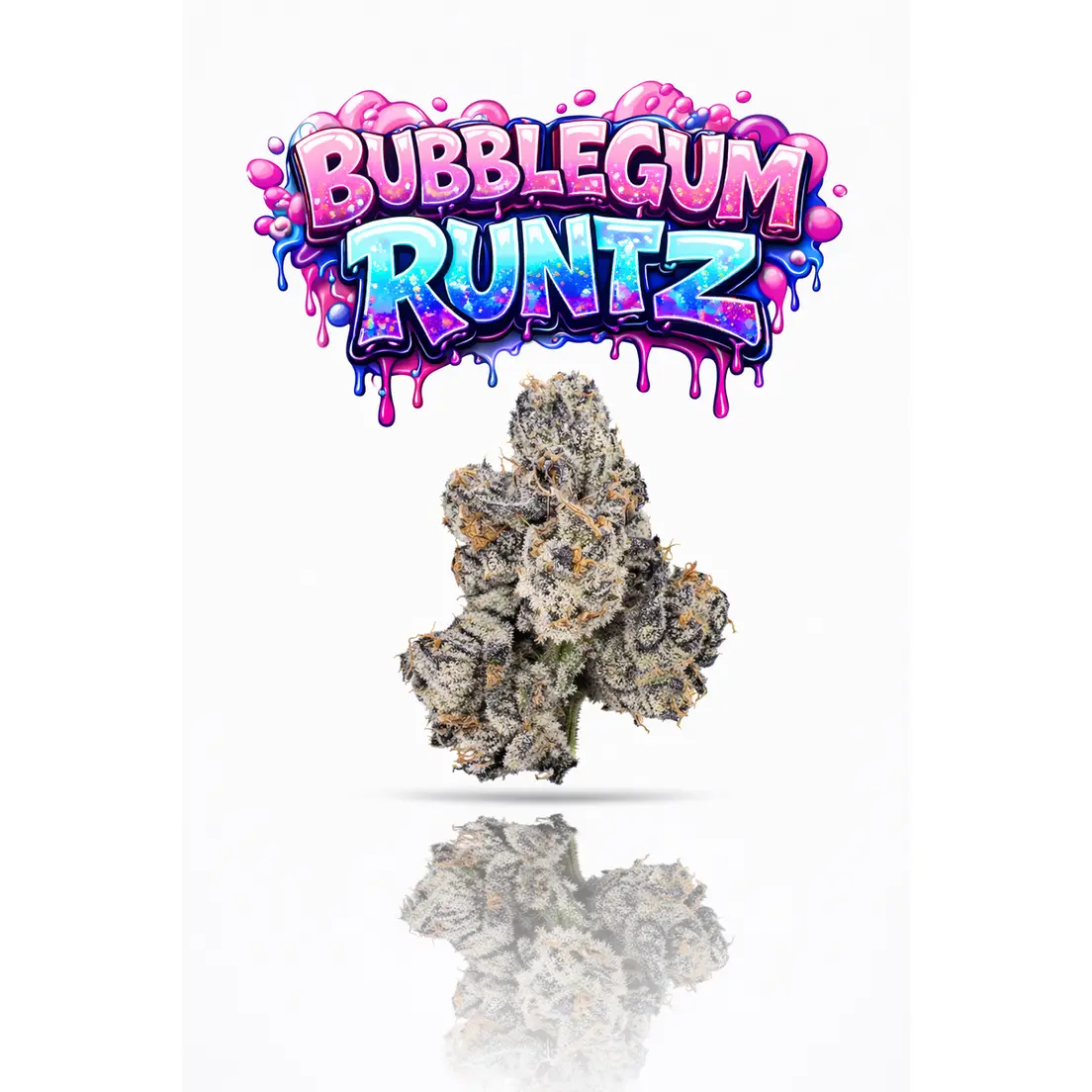 KINGS - BUBBLEGUM RUNTZ- 14G | TOPSHELF INDOOR FLOWER