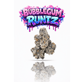 KINGS - BUBBLEGUM RUNTZ- 14G | TOPSHELF INDOOR FLOWER
