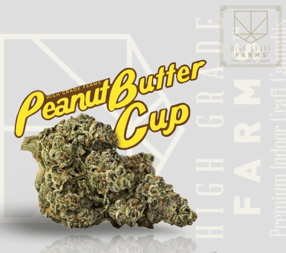 High Grade Farms Flower Peanut Butter Cup 3.5g