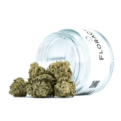 Sour Apple Tahoe OG | Hybrid Flower
