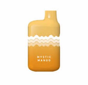 1g Disposable (Mystic Mango)