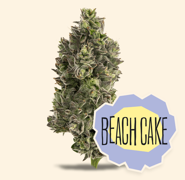 Flower- Beach Cake 3.5g
