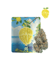 Seed Junky - Lemon Fruz 3.5g
