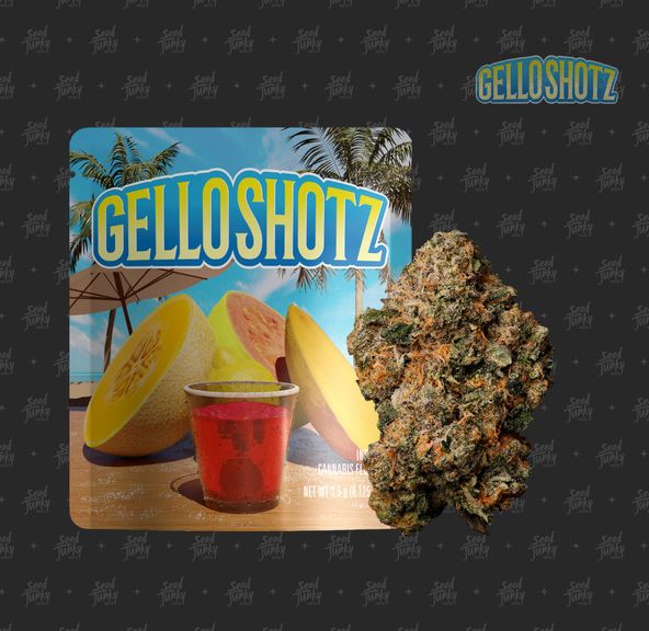 Seed Junky - 1g Preroll (Gello Shotz)