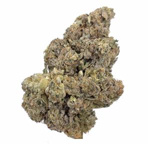 Gucci OG