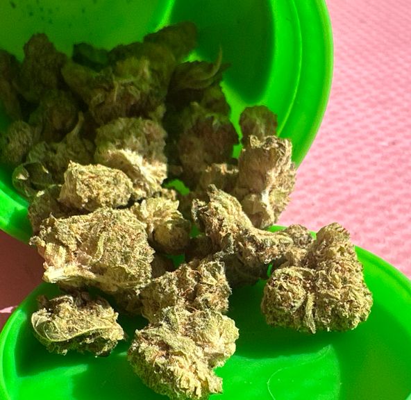 Apricot Scone Flower 3.5g
