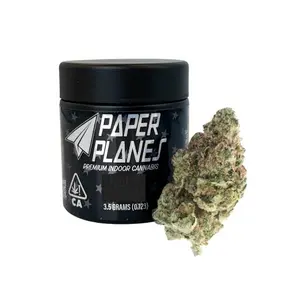 PAPER PLANES - ELECTRIC AVENUE - 3.5G - INDICA