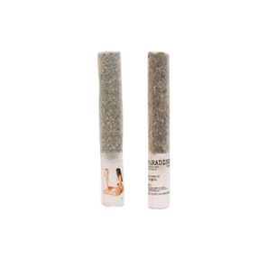 Paradise Rosin Infused Preroll Guala 2g