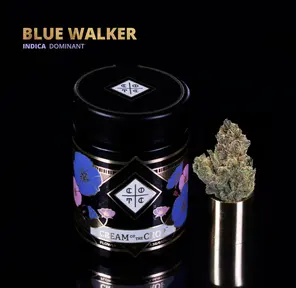 COTC: 1/8 Flower - Blue Walker (Indica), 3.5g