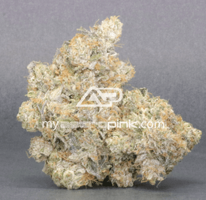 Astropink | Lot #8641 | PINK ROSAY | *JANUARY 20th DROP*