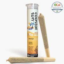 Coastal Sun - Banjo 2pk Infused Preroll .75/2 1.5g