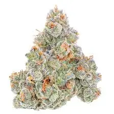 Fig Farms Peach Wreck $45