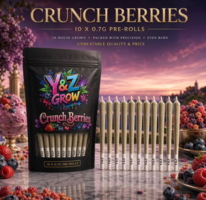 0.7G Pre-Roll: Crunch Berries (H) 10 Pack