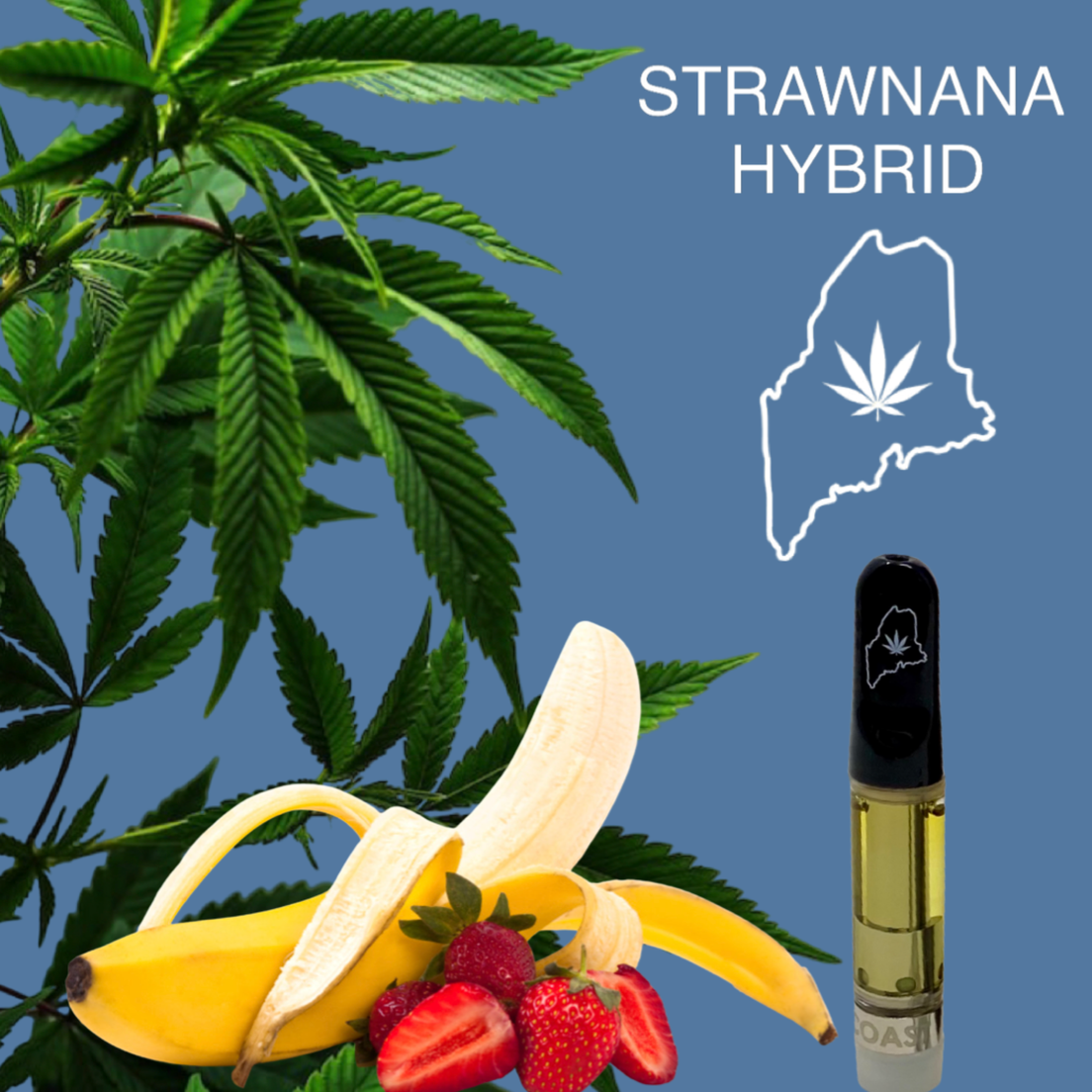 Strawnana Highcoast 1G