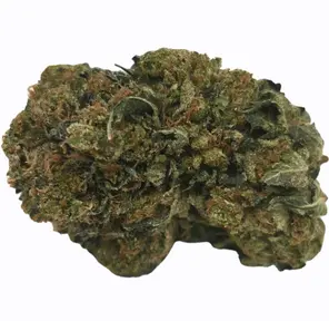 MK Ultra