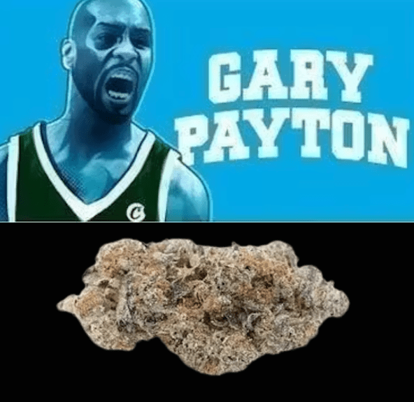 Cookies - Gary Payton - Indoor - 3.5g