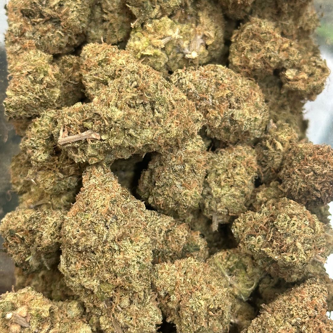 Afghan Skunk by Philmo Pharms