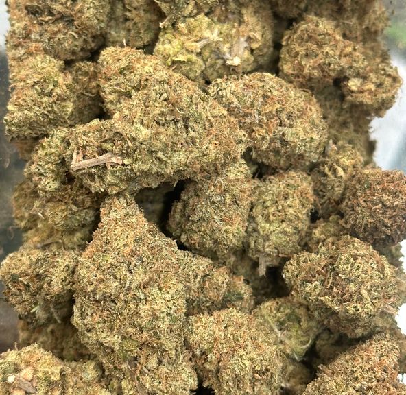 Afghan Skunk by Philmo Pharms