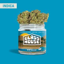 GLASS HOUSE FARMS - GELATO #33 - 3.5G - INDICA