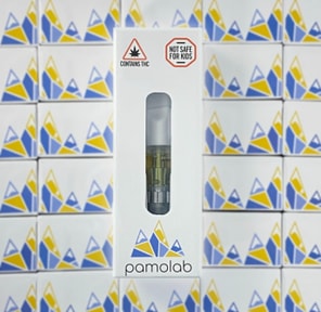 APPLES AND BANANAS Pamolab 1g Distillate 510 Cartridge