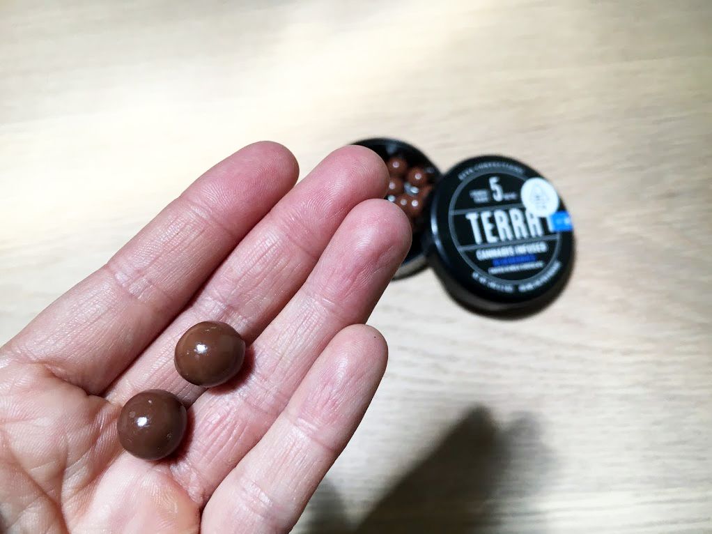 Kiva - Blueberries Singles 10mg