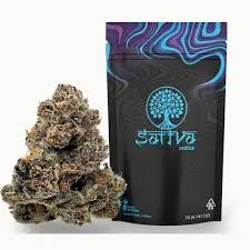 Sattva Gumbo $30