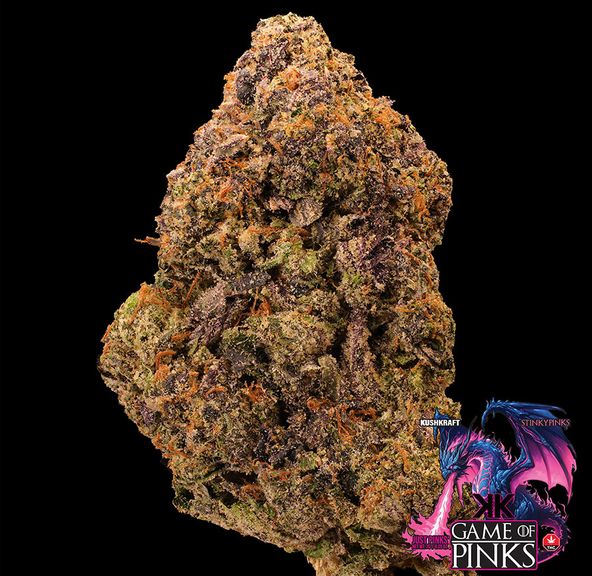7G Game of Pinks - Tropicana Pink