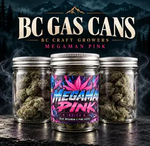 [AAAA+] BC GAS CAN - Megaman Pink⛽️ - 14G