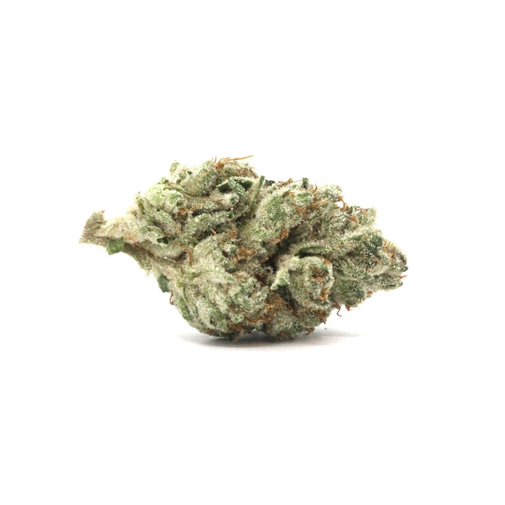 Emerald Queen: Wedding Crasher Pop Top 1/8th