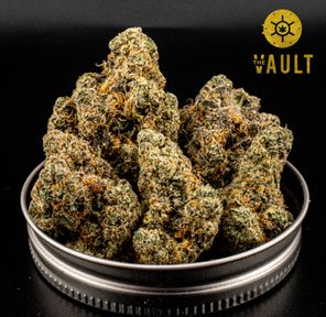 AAAA+ | JACK HERER 🏆🏆🏆🏆