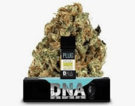 PLUGPLAY DNA- 1G SUPER LEMON HAZE