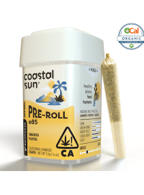 Coastal Sun - E85 10pk Prerolls 3.5g
