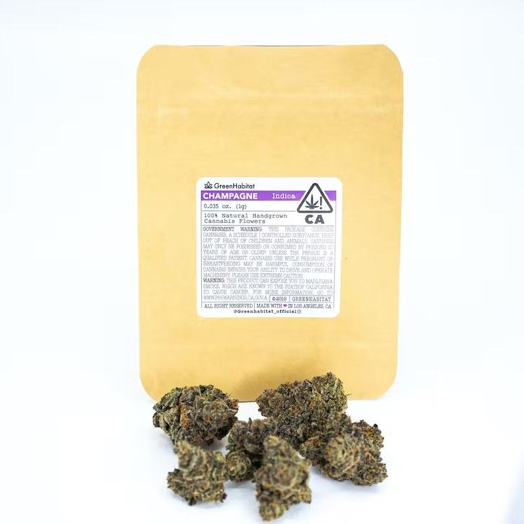 Champagne - Indoor Flower