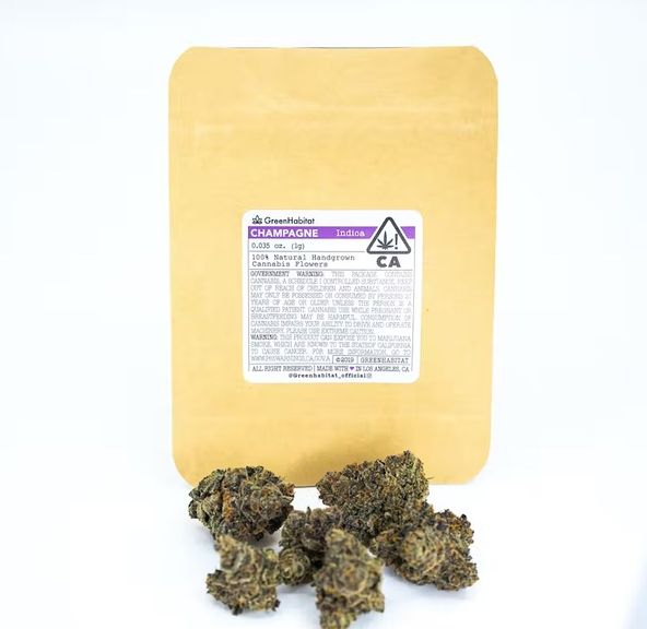 Champagne - Indoor Flower