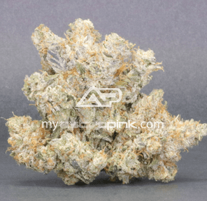 Astropink | Lot #9476 | PAPA PINK | *JANUARY 20th DROP*