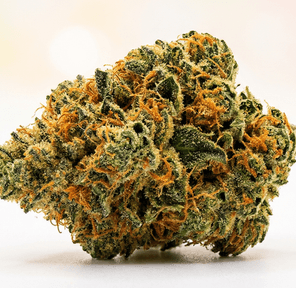 Purple Prince - Government Oranges Sour, 3.5 grams