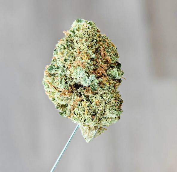 Zips - Strawberry Tonic 3.5g