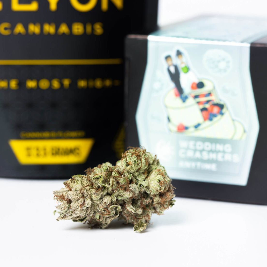 Elyon: Wedding Crasher (3.5G)